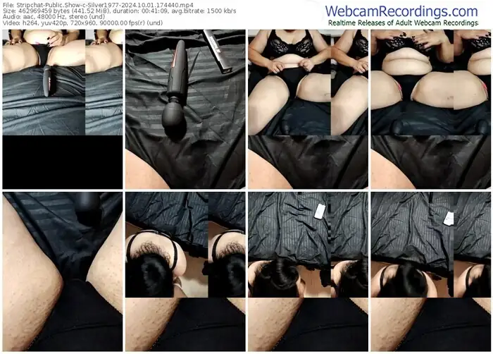 stripchat-silver1977-10-01-2024-17-44-40