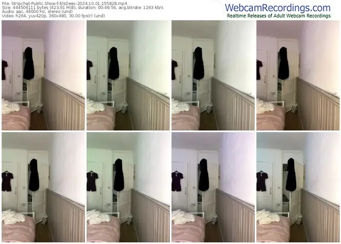 stripchat-elsdeex-10-01-2024-15-58-28