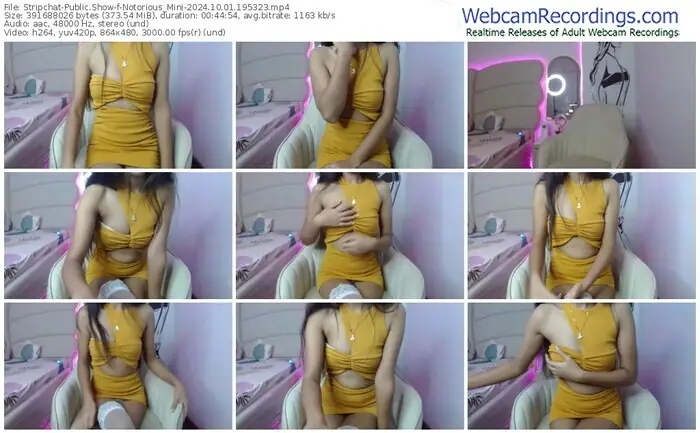 stripchat-notorious_mini-10-01-2024-19-53-23