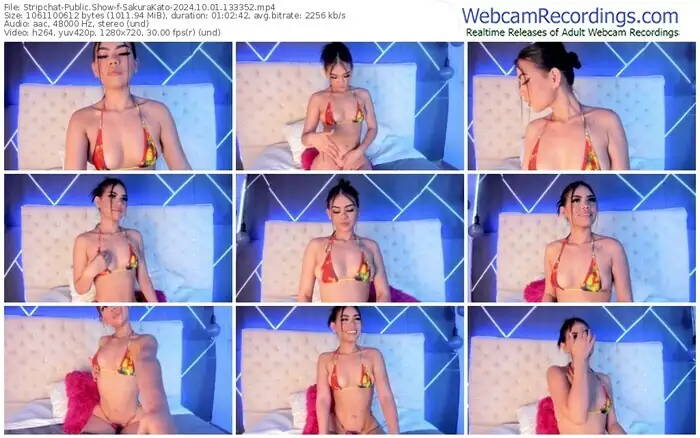stripchat-sakurakato-10-01-2024-13-33-52
