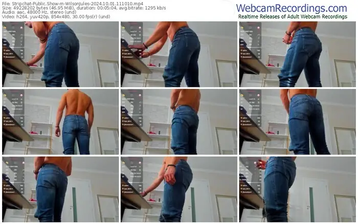 stripchat-wilsonjules-10-01-2024-11-10-10