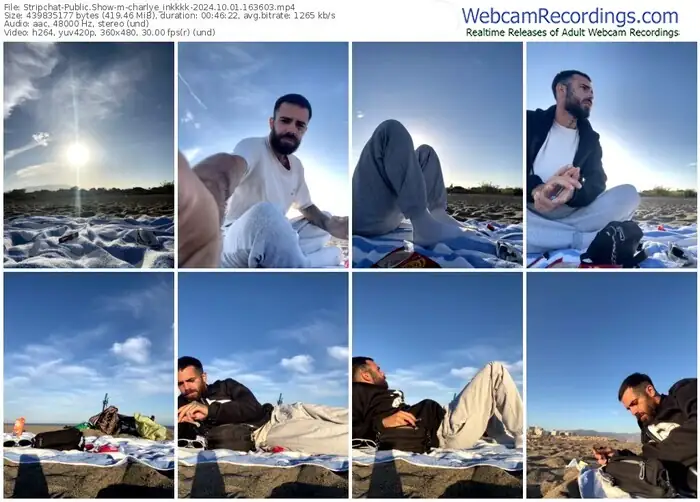 stripchat-charlye_inkkkk-10-01-2024-16-36-03