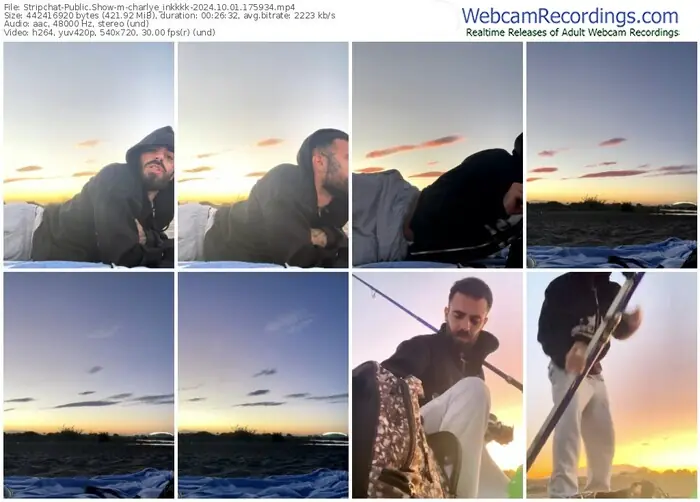 stripchat-charlye_inkkkk-10-01-2024-17-59-34