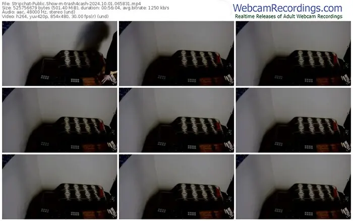 stripchat-trash4cash-10-01-2024-06-58-31