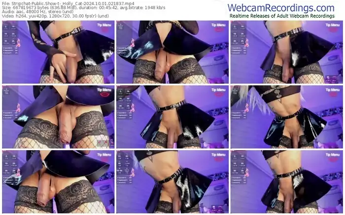 stripchat-_holly_cat-10-01-2024-02-18-37