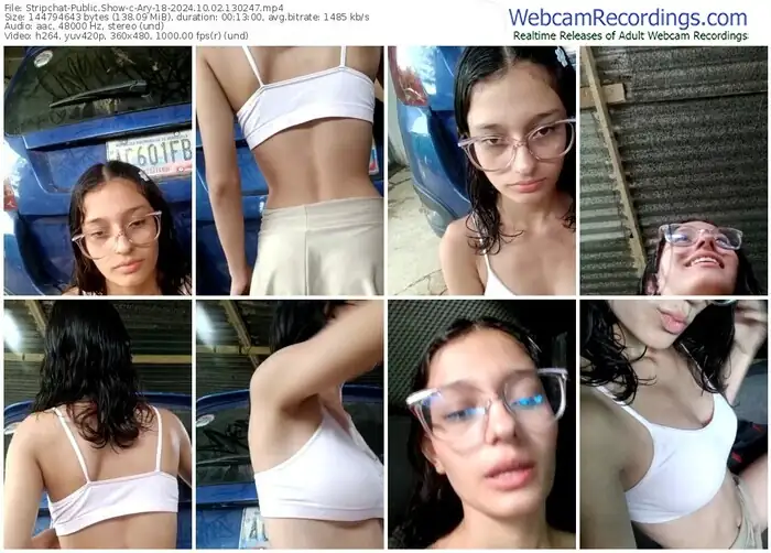 stripchat-ary-18-10-02-2024-13-02-47