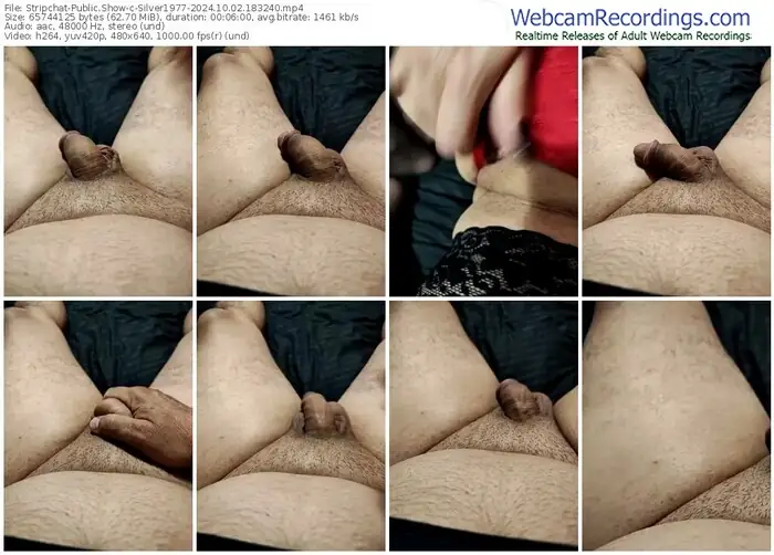 stripchat-silver1977-10-02-2024-18-32-40