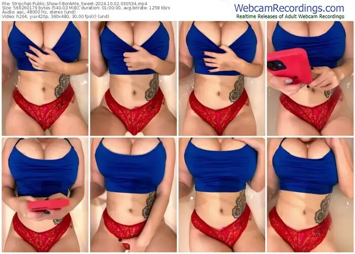 stripchat-bonkme_sweet-10-02-2024-03-05-34