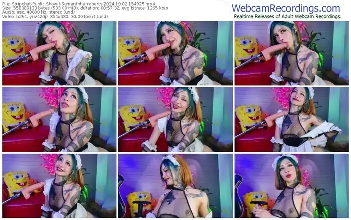 stripchat-samanthha_roberts-10-02-2024-15-49-25