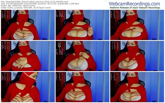 stripchat-nahid_sammur-10-02-2024-04-48-30