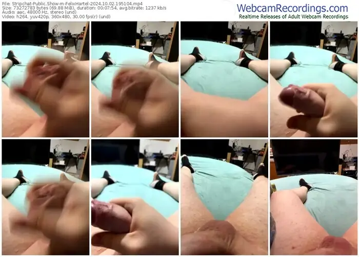 stripchat-felixhartel-10-02-2024-19-51-04