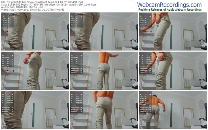 stripchat-wilsonjules-10-02-2024-16-04-38