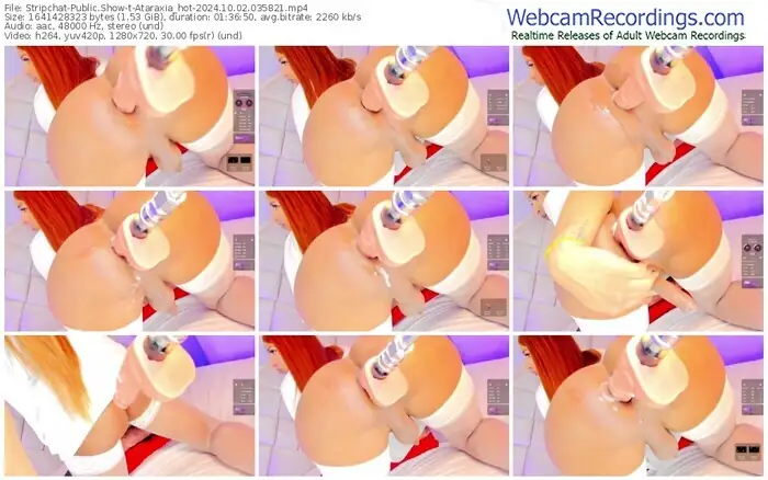 stripchat-ataraxia_hot-10-02-2024-03-58-21