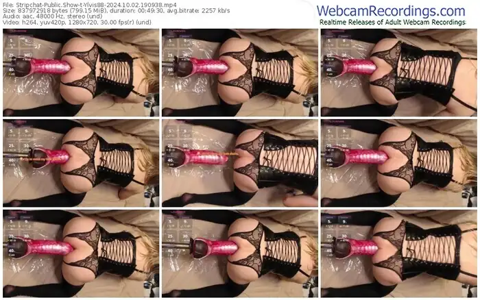 stripchat-ylvis88-10-02-2024-19-09-38