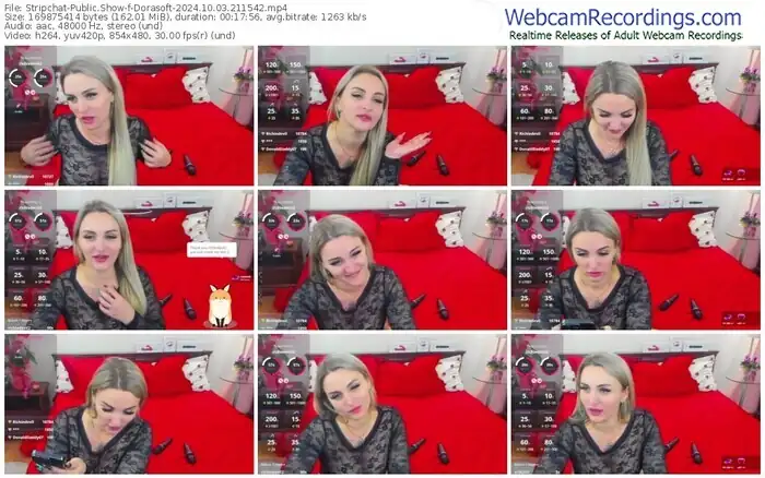 stripchat-dorasoft-10-03-2024-21-15-42