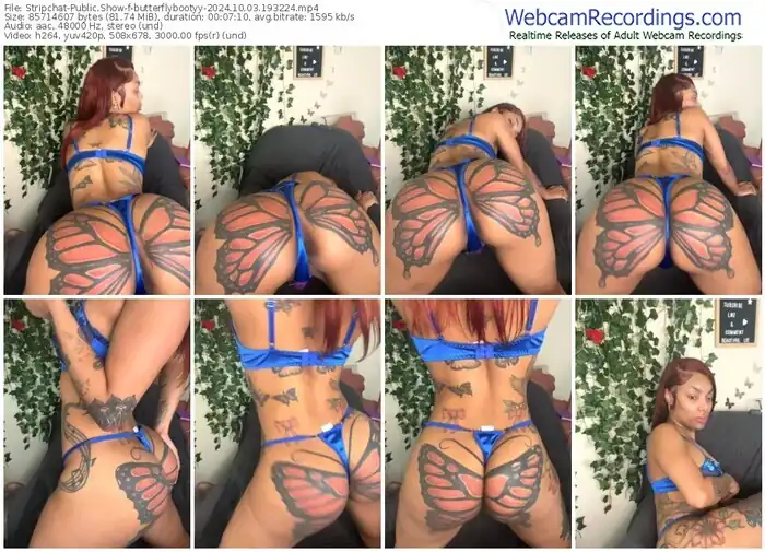 stripchat-butterflybootyy-10-03-2024-19-32-24