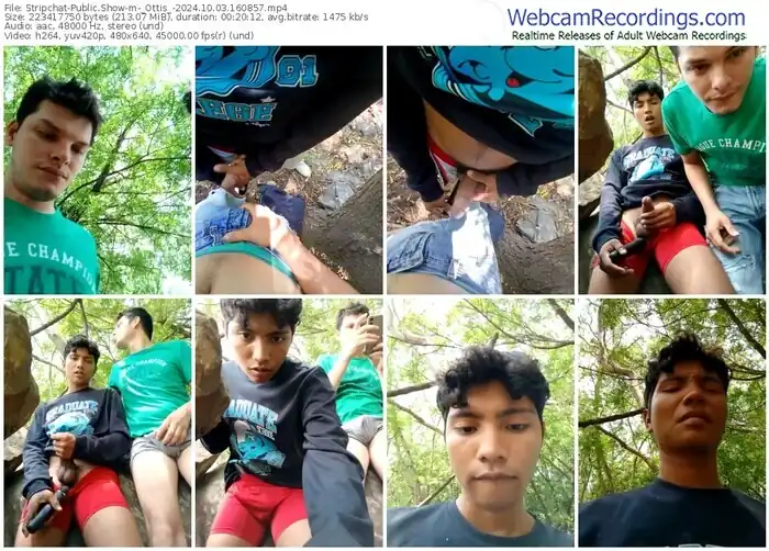 stripchat-_ottis_-10-03-2024-16-08-57