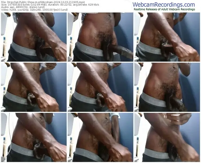 stripchat-phbbcsham-10-03-2024-21-19-05