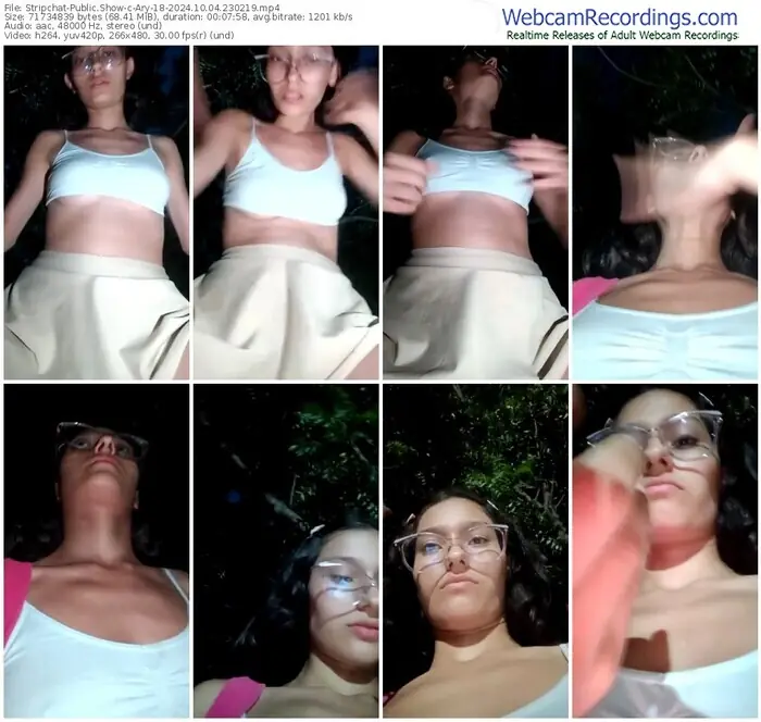 stripchat-ary-18-10-04-2024-23-02-19