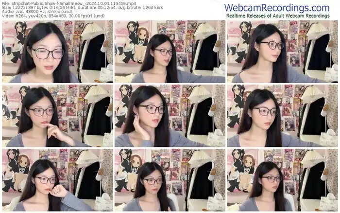 stripchat-smallmeow_-10-04-2024-11-34-59