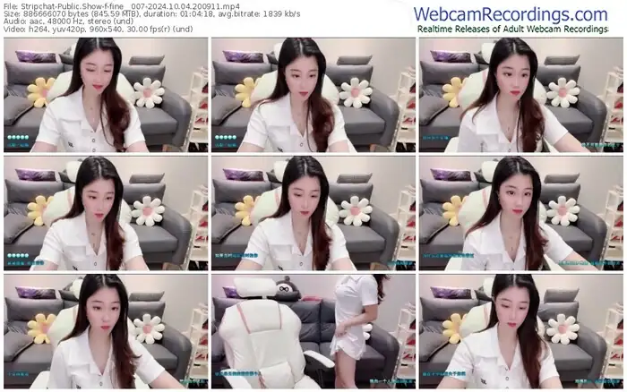 stripchat-fine__007-10-04-2024-20-09-11