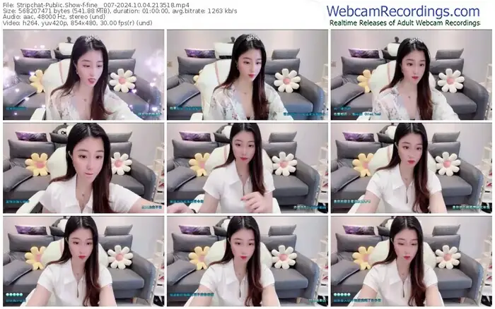 stripchat-fine__007-10-04-2024-21-35-18