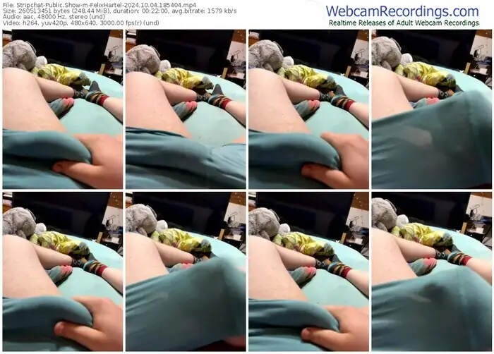 stripchat-felixhartel-10-04-2024-18-54-04