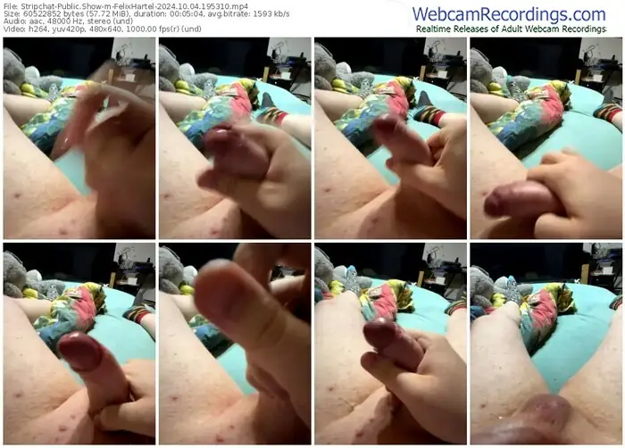 stripchat-felixhartel-10-04-2024-19-53-10