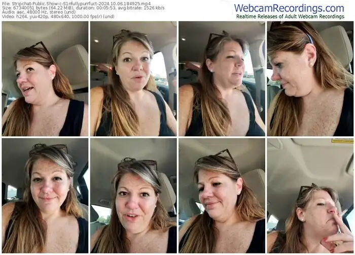 stripchat-s1nfullypurrfuct-10-06-2024-18-49-25