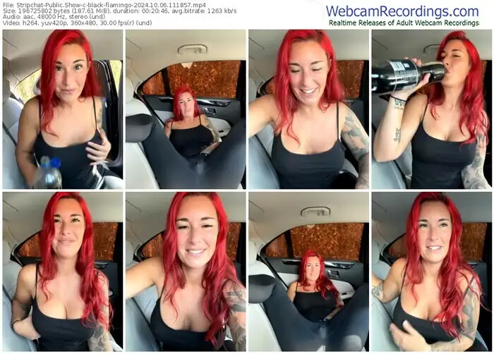 stripchat-black-flamingo-10-06-2024-11-18-57