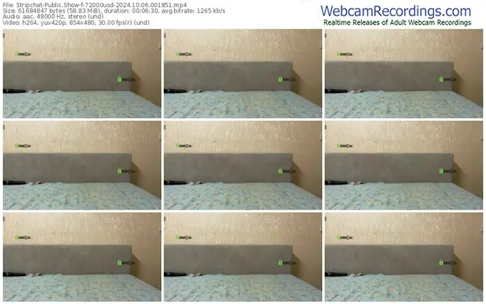 stripchat-72000usd-10-06-2024-00-18-51