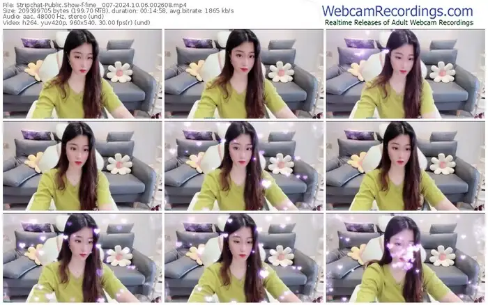 stripchat-fine__007-10-06-2024-00-26-08