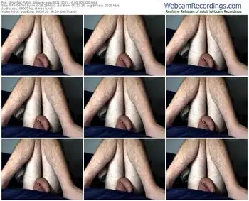 stripchat-easyd811-10-06-2024-00-58-10