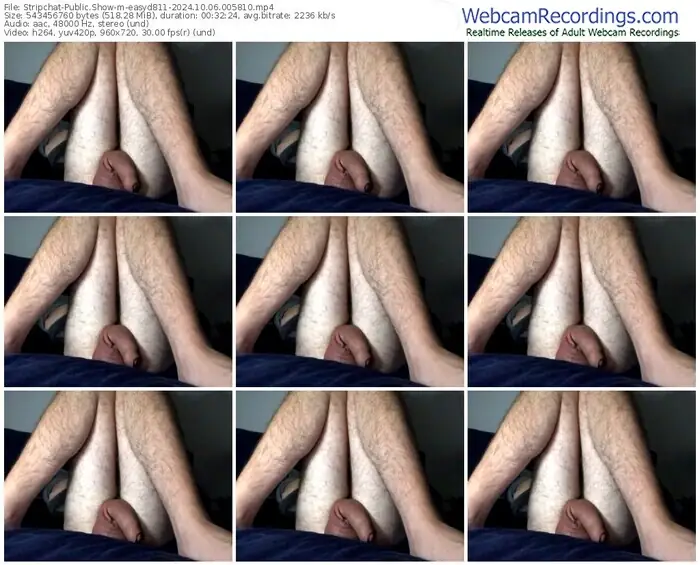 stripchat-easyd811-10-06-2024-00-58-10