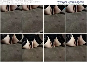 stripchat-silver1977-10-07-2024-14-34-27