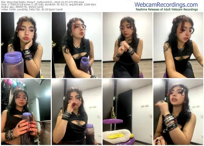 stripchat-_gothiccbitch_-10-07-2024-07-13-55