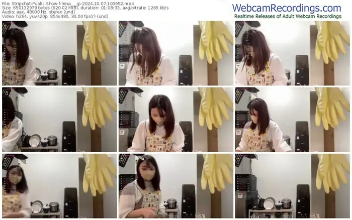 stripchat-hina___jp-10-07-2024-10-09-52