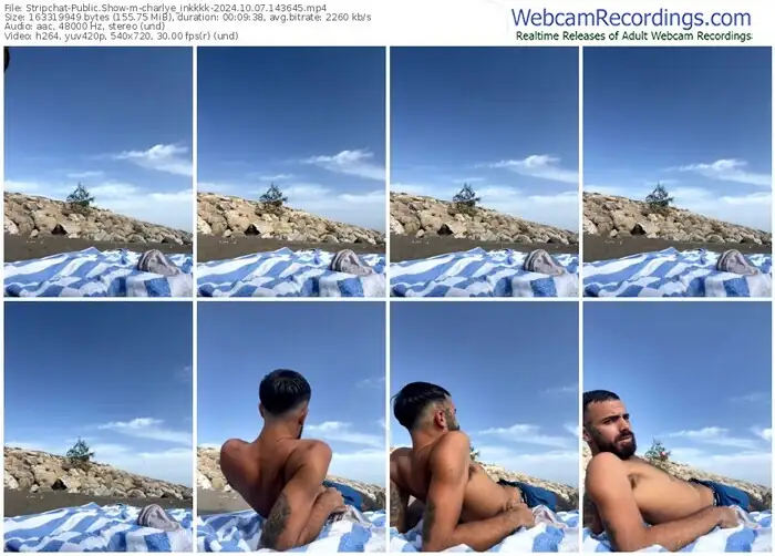 stripchat-charlye_inkkkk-10-07-2024-14-36-45