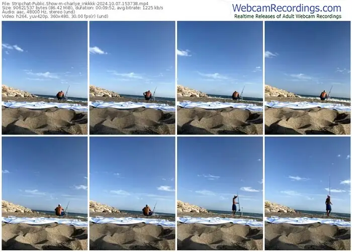 stripchat-charlye_inkkkk-10-07-2024-15-37-38