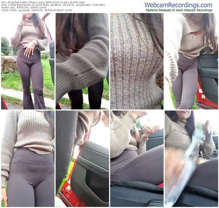 stripchat-sexy7883-10-08-2024-12-13-55