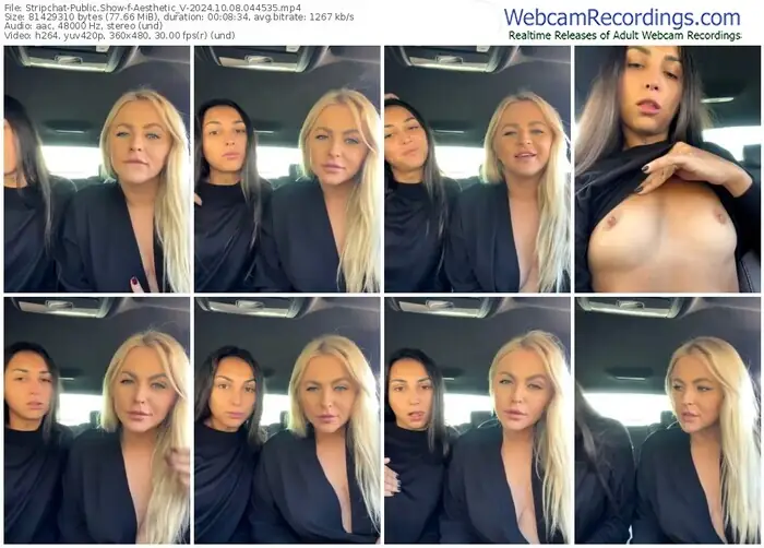 stripchat-aesthetic_v-10-08-2024-04-45-35