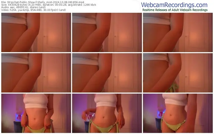 stripchat-shelly_mist-10-08-2024-08-18-56