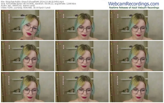 stripchat-silviaellett-10-08-2024-01-04-50