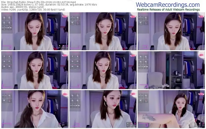 stripchat-zhi-shi-10-08-2024-14-27-24