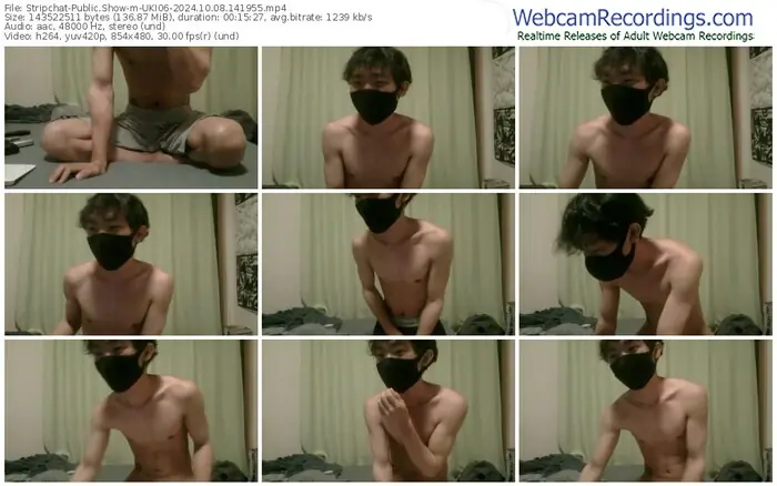 stripchat-uki06-10-08-2024-14-19-55