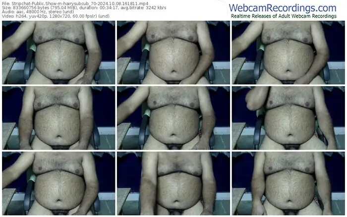 stripchat-hairysubcub_70-10-08-2024-16-18-11