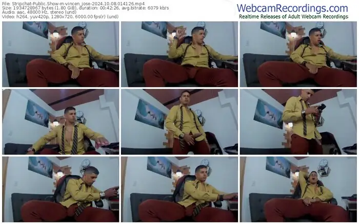 stripchat-vincen_jose-10-08-2024-01-41-26