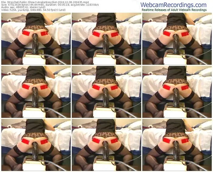 stripchat-analiasissyslut-10-08-2024-20-04-35