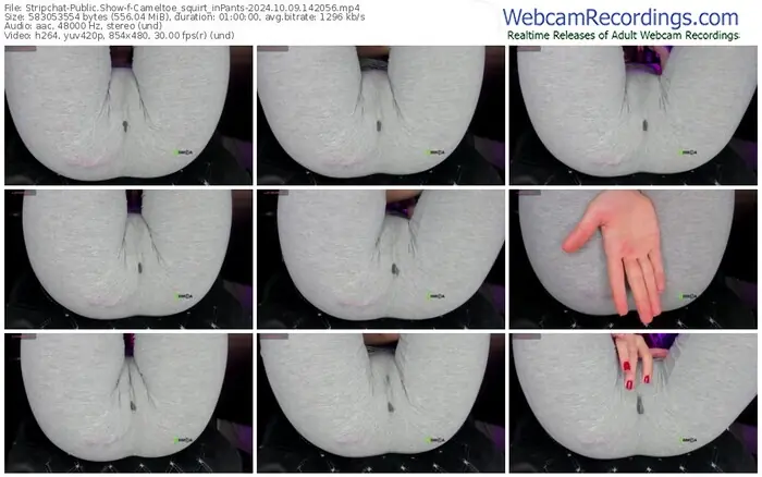 stripchat-cameltoe_squirt_inpants-10-09-2024-14-20-56