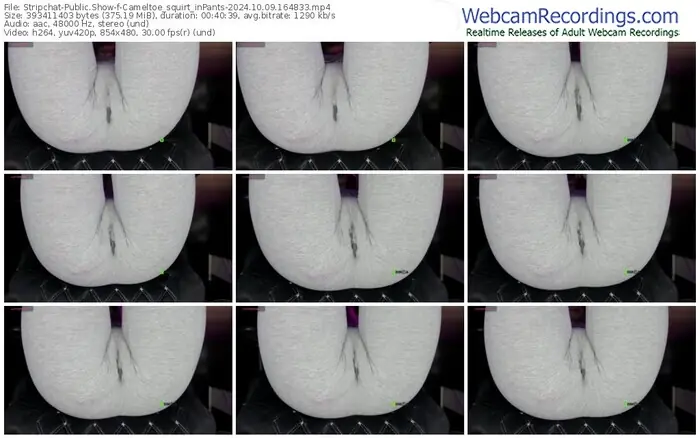 stripchat-cameltoe_squirt_inpants-10-09-2024-16-48-33